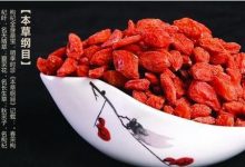 枸杞子的美容功效 美白抗衰老-菲菲美人館